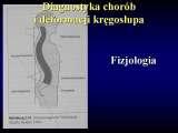 Wody geotermalne w ortopedii. Geothermal water in orthopaedic therapy. The picture taken from the book of - Prof. Gunter Wellmitz - 