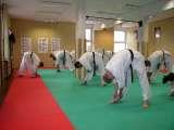 Tai Chi Chuan and Karate in orthopaedic therapy of so-called idiopathic scoliosis. KARATE is the best method for NEO-PROPHYLAXIS and CONSERVATIVE TREATMENT of SCOLIOSIS.