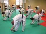 Tai Chi Chuan and Karate in orthopaedic therapy of so-called idiopathic scoliosis. KARATE is the best method for NEO-PROPHYLAXIS and CONSERVATIVE TREATMENT of SCOLIOSIS.