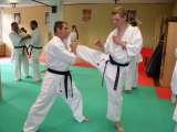 Tai Chi Chuan and Karate in orthopaedic therapy of so-called idiopathic scoliosis. KARATE is the best method for NEO-PROPHYLAXIS and CONSERVATIVE TREATMENT of SCOLIOSIS.