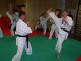 Tai Chi Chuan and Karate in orthopaedic therapy of so-called idiopathic scoliosis. KARATE is the best method for NEO-PROPHYLAXIS and CONSERVATIVE TREATMENT of SCOLIOSIS.