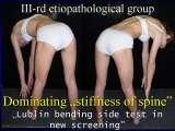 Presentation of biomechanical etiology of so-called idiopathic scoliosis on 58 Orthopaedic Congress in Cairo/Egypt, 4th -9th December 2006.