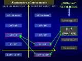 Presentation of biomechanical etiology of so-called idiopathic scoliosis on 58 Orthopaedic Congress in Cairo/Egypt, 4th -9th December 2006.