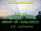 Presentation of biomechanical etiology of so-called idiopathic scoliosis on 58 Orthopaedic Congress in Cairo/Egypt, 4th -9th December 2006.