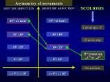 Presentation of biomechanical etiology of so-called idiopathic scoliosis on 58 Orthopaedic Congress in Cairo/Egypt, 4th -9th December 2006.