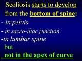 Presentation of biomechanical etiology of so-called idiopathic scoliosis on 58 Orthopaedic Congress in Cairo/Egypt, 4th -9th December 2006.