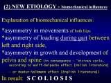 Presentation of biomechanical etiology of so-called idiopathic scoliosis on 58 Orthopaedic Congress in Cairo/Egypt, 4th -9th December 2006.