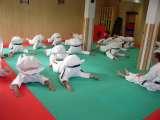 Tai Chi Chuan and Karate in orthopaedic therapy of so-called idiopathic scoliosis. KARATE is the best method for NEO-PROPHYLAXIS and CONSERVATIVE TREATMENT of SCOLIOSIS.